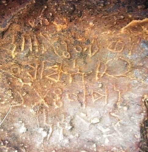 الشرعي موكل 6